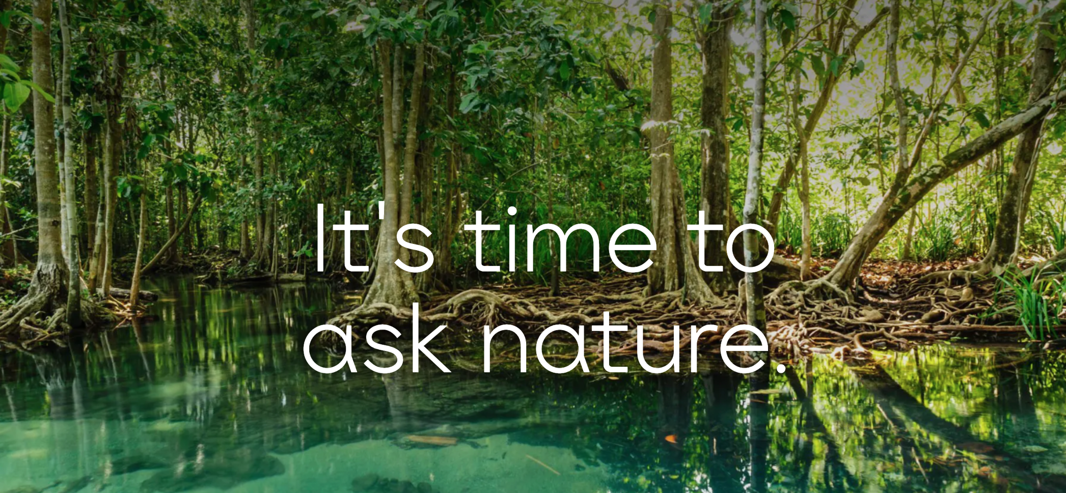 Asknature.org logo